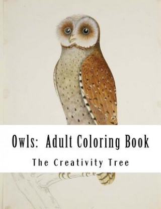 Könyv Owls: Adult Coloring Book The Creativity Tree