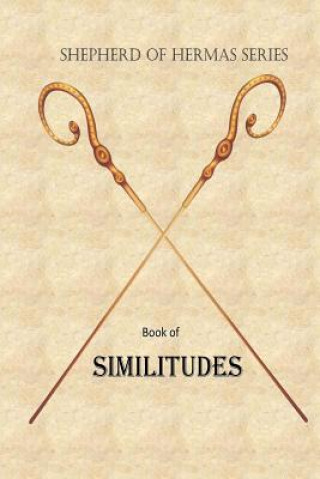 Książka Book of Similitudes MR Billy R Fincher