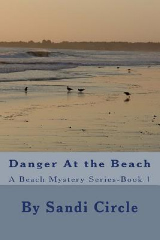 Kniha Danger At the Beach Sandi Circle