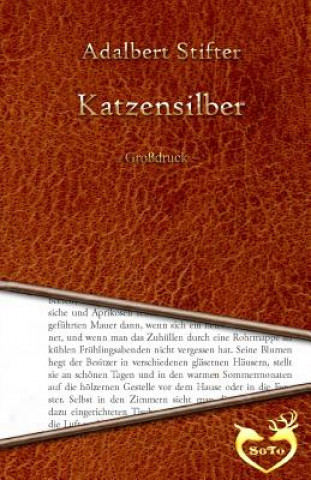 Książka Katzensilber - Großdruck Adalbert Stifter