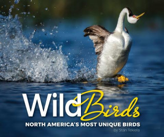 Kniha Wild Birds Stan Tekiela
