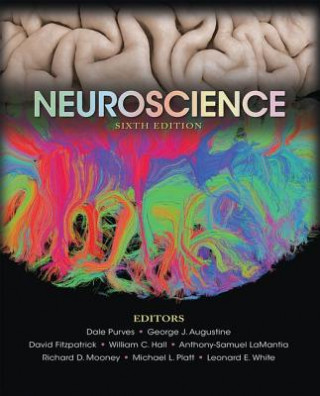 Könyv Neuroscience Dale Purves