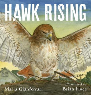 Carte Hawk Rising Maria Gianferrari
