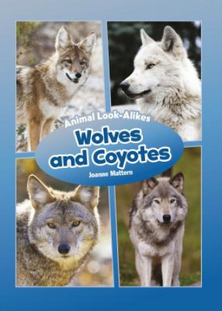 Kniha Wolves and Coyotes Joanne Mattern