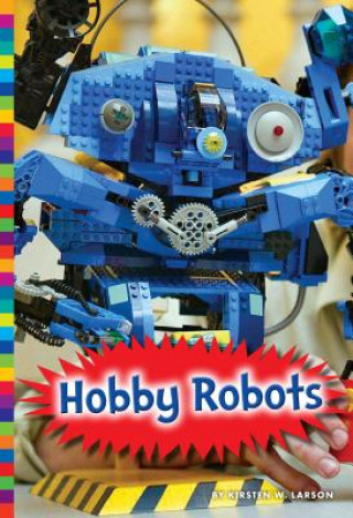 Książka Hobby Robots Kirsten W. Larson