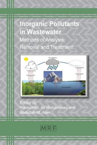 Książka Inorganic Pollutants in Wastewater Abdullah Asiri