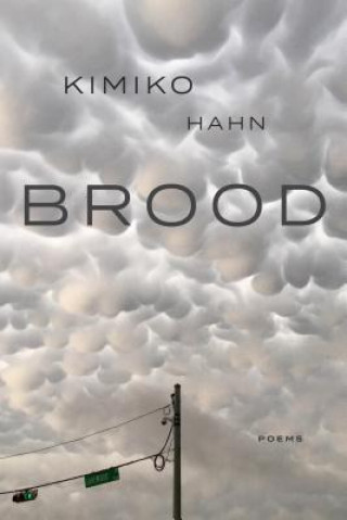 Книга Brood Kimiko Hahn