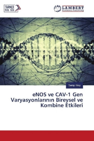 Carte eNOS ve CAV-1 Gen Varyasyonlarinin Bireysel ve Kombine Etkileri Serap Ilikay