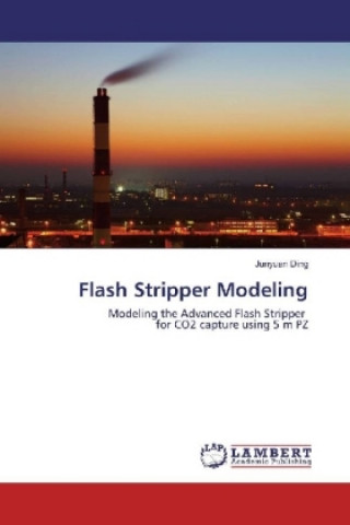 Knjiga Flash Stripper Modeling Junyuan Ding