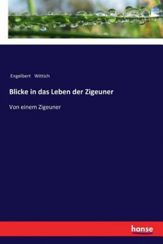 Книга Blicke in das Leben der Zigeuner Engelbert Wittich