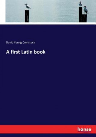 Kniha first Latin book David Young Comstock