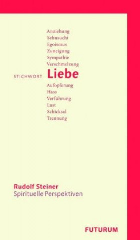 Kniha Stichwort Liebe Rudolf Steiner