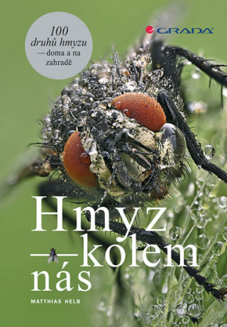 Kniha Hmyz kolem nás Matthias Helb