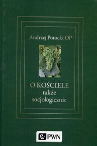 Kniha O Kościele także socjologicznie Potocki Andrzej