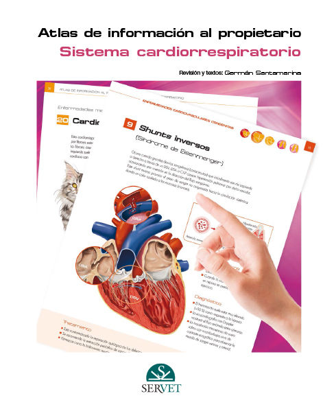Könyv Atlas de información al propietario : sistema cardiorrespiratorio Grupo Asis Biomedia