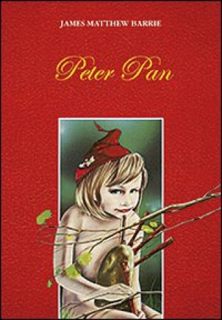 Knjiga Peter Pan James M. Barrie