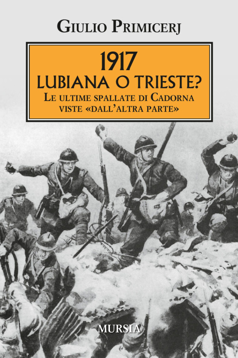 Kniha 1917 Lubiana o Trieste? Le ultime spallate di Cadorna viste «dall'altra parte» Giulio Primicerj