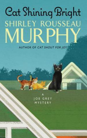 Buch Cat Shining Bright Shirley Rousseau Murphy