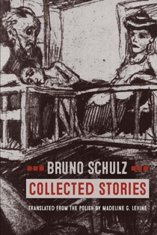 Kniha Collected Stories Bruno Schulz