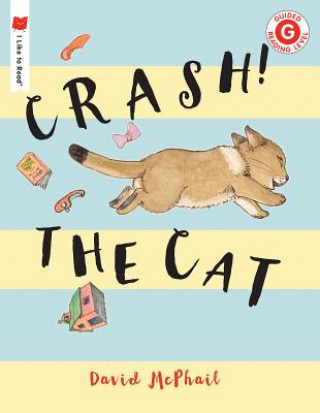 Könyv Crash! The Cat David Mcphail