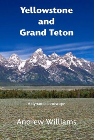 Kniha Yellowstone and Grand Teton Andrew Williams
