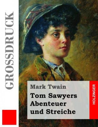 Knjiga Tom Sawyers Abenteuer und Streiche (Großdruck) Mark Twain