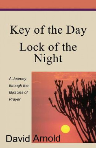 Book Key of the Day Lock of the Night David Arnold