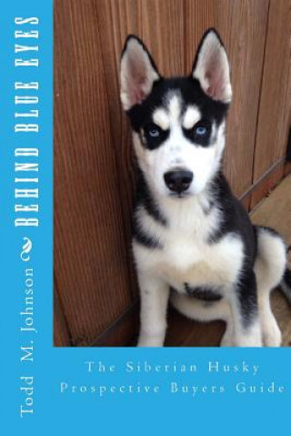 Könyv Behind Blue Eyes Todd M Johnson