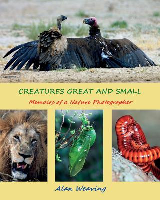 Książka Creatures Great and Small: Memoirs of a Nature Photographer Alan Weaving