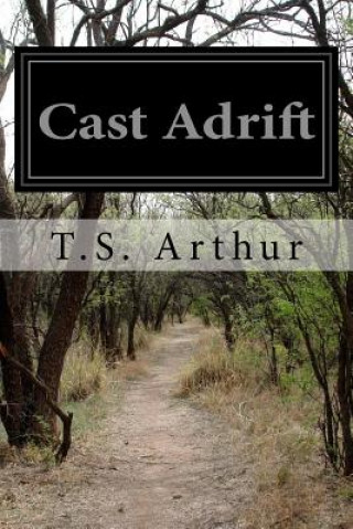 Kniha Cast Adrift T S Arthur