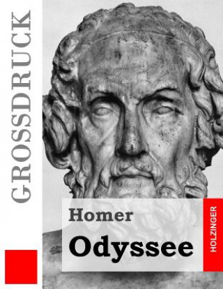 Kniha Odyssee (Großdruck) Homer