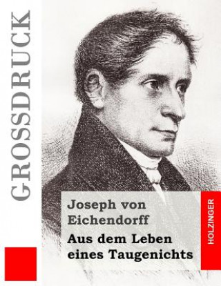 Kniha Aus dem Leben eines Taugenichts (Großdruck) Joseph von Eichendorff
