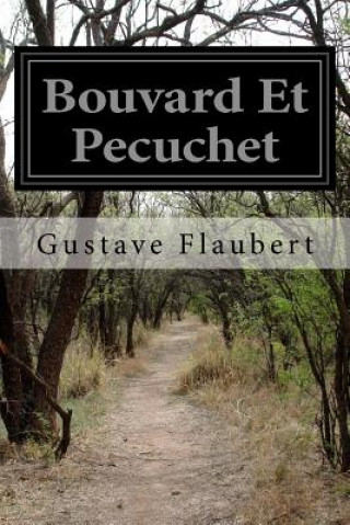 Könyv Bouvard Et Pecuchet Gustave Flaubert