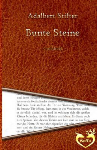 Book Bunte Steine - Großdruck Adalbert Stifter