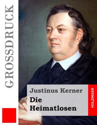 Carte Die Heimatlosen (Großdruck) Justinus Kerner