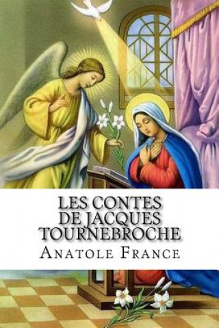 Buch Les contes de Jacques Tournebroche M Anatole France