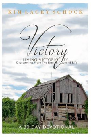 Book Victory: Overcoming From the Broken Places of Life Kim Lacey Schock