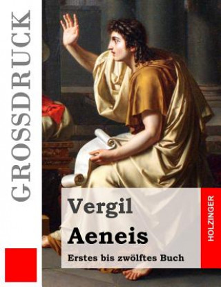 Carte Aeneis (Großdruck): Erstes bis zwölftes Buch Vergil