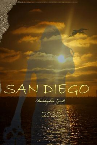 Könyv San Diego - 2032 Zsolt Boldogkoi