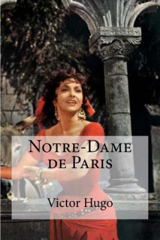 Buch Notre-Dame de Paris Victor Hugo