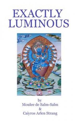 Livre Exactly Luminous: The erotic spiritual poems of the 6th Dalai Lama, Tsanyang Gyatso Caiyros Arlen Strang