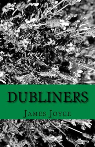 Book Dubliners James Joyce