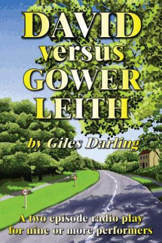 Könyv David Versus Gower Leith Giles Darling