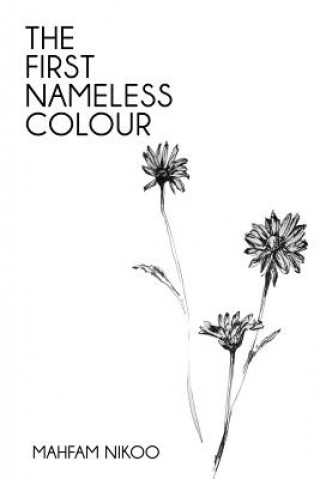 Книга The First Nameless Colour Mahfam Nikoo