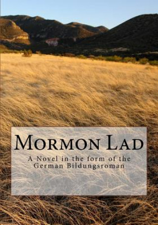 Kniha Mormon Lad: A Novel in the form of the German Bildungsroman Ralph P Vander Heide Ph D