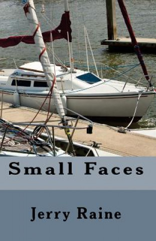 Knjiga Small Faces Jerry Raine