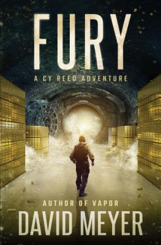 Kniha Fury David Meyer
