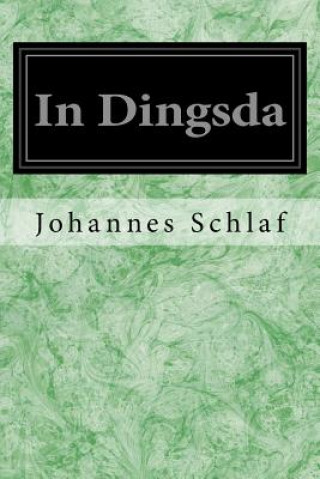 Kniha In Dingsda Johannes Schlaf