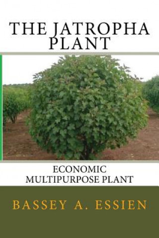 Livre The Jatropha Plant Essien a Bassey