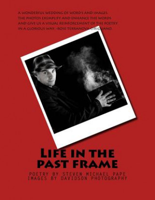 Kniha Life in the past frame Steven Michael Pape